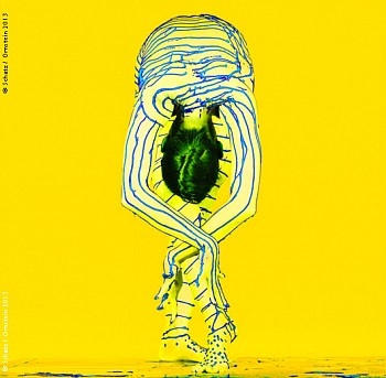 Howard  Schatz - Liquid Light Study, 2005