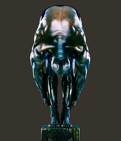 News: Howard Schatz Winner Graphis Photography Platinum Prize, January  3, 2022