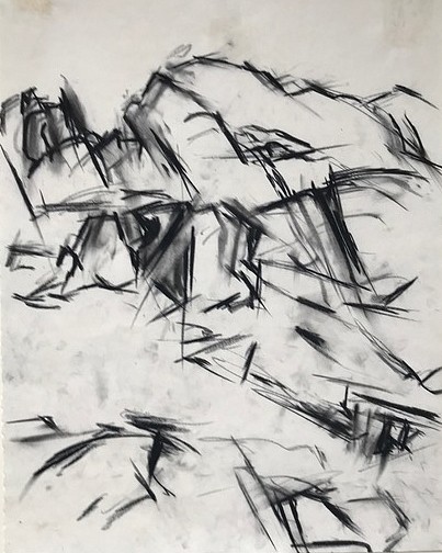 Mercedes Matter, Untitled, Maine Abstraction, c. 1960s
Charcoal on paper
CAJ003
