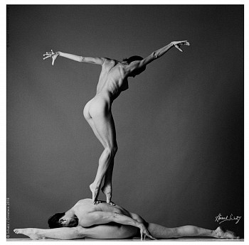 Howard  Schatz - Dance Study 4006, 2005